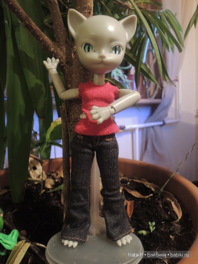 Новенькие. Неожиданные и долгожданные