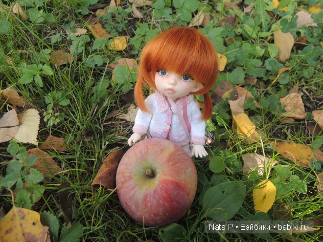 Полишкины вопросы — Куклы Fairyland (ФэйриЛэнд): BJD (БЖД)