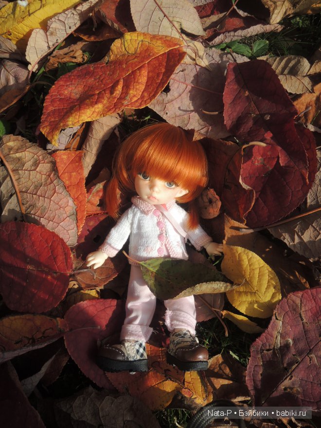 Полишкины вопросы — Куклы Fairyland (ФэйриЛэнд): BJD (БЖД)