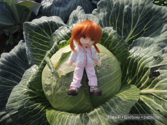 Полишкины вопросы — Куклы Fairyland (ФэйриЛэнд): BJD (БЖД)