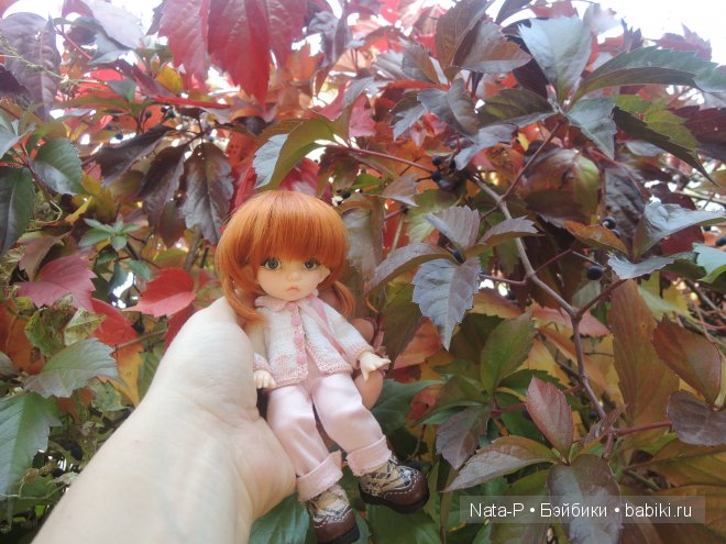 Полишкины вопросы — Куклы Fairyland (ФэйриЛэнд): BJD (БЖД) (фото 10)