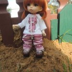 Полишкины вопросы