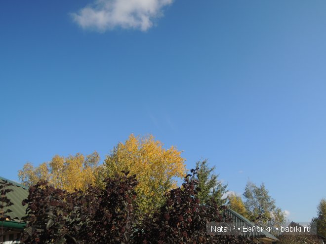 Легенда. Часть вторая — Фотоистории с куклами BJD (БЖД): сериалы