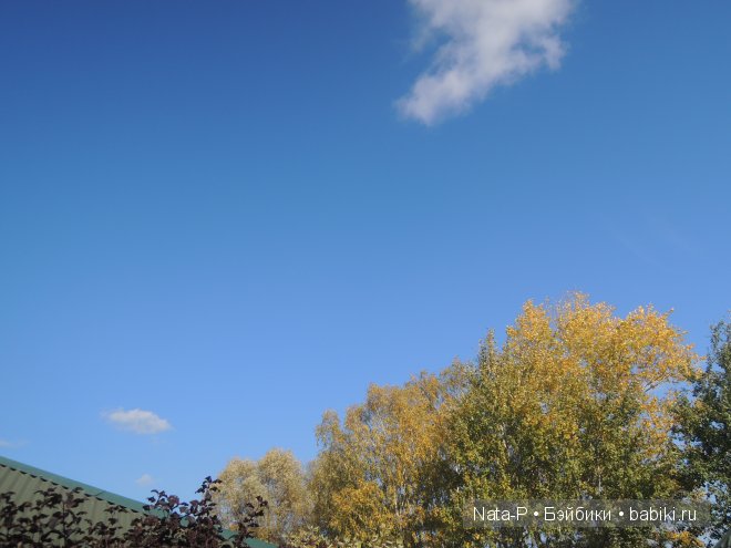 Легенда. Часть вторая — Фотоистории с куклами BJD (БЖД): сериалы