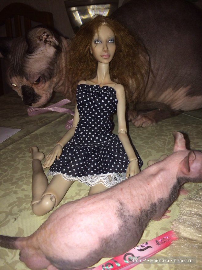 Наша новая подружка - Элизабет от Alpha Dolls (фото 3)