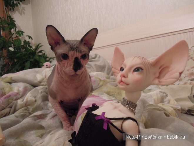 Три грации. Или пижамная вечеринка