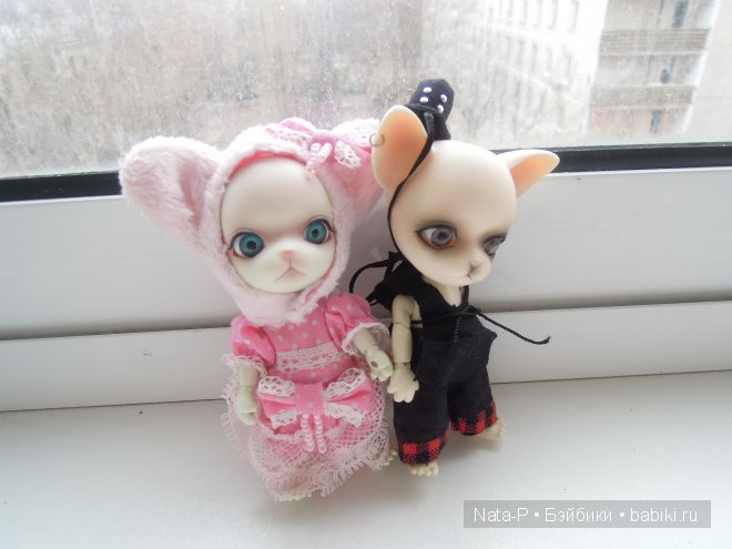 Панг-Панг и первое свидание (фото 10)