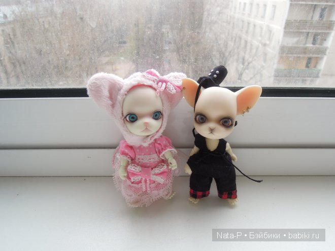 Панг-Панг и первое свидание (фото 9)