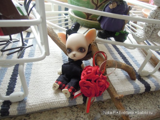 Панг-Панг и первое свидание (фото 5)