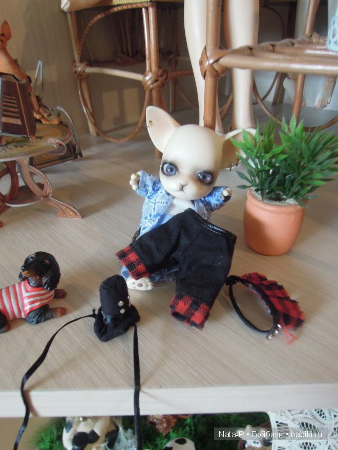 Панг-Панг и первое свидание