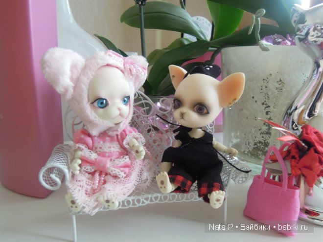 Панг-Панг и первое свидание