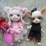 Панг-Панг и первое свидание