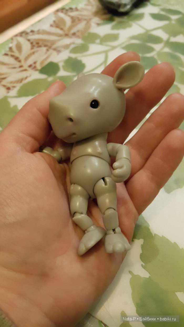 У меня поселился малыш-Носорожек