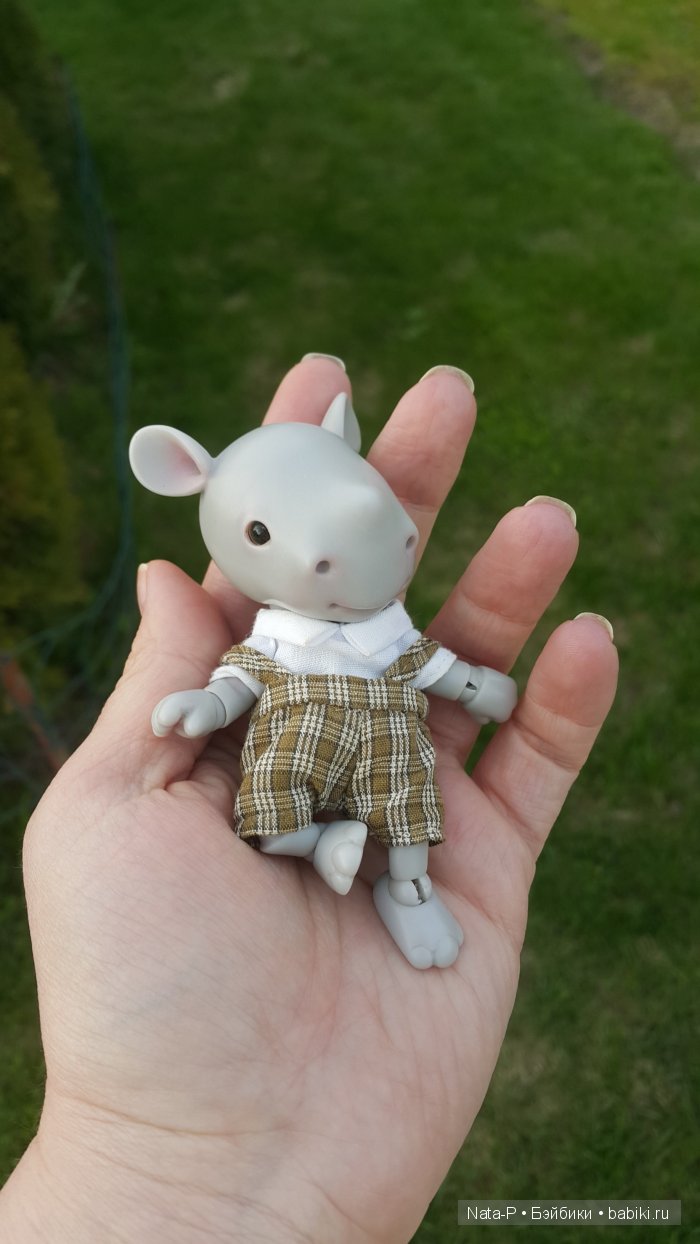 У меня поселился малыш-Носорожек (фото 6)