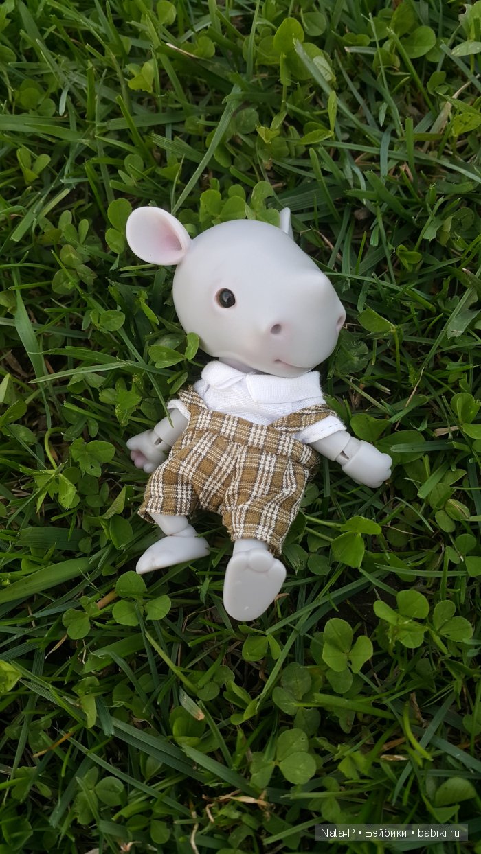 У меня поселился малыш-Носорожек (фото 4)