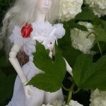 эльфийская принцесса