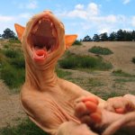 Что же делать? Как же быть?