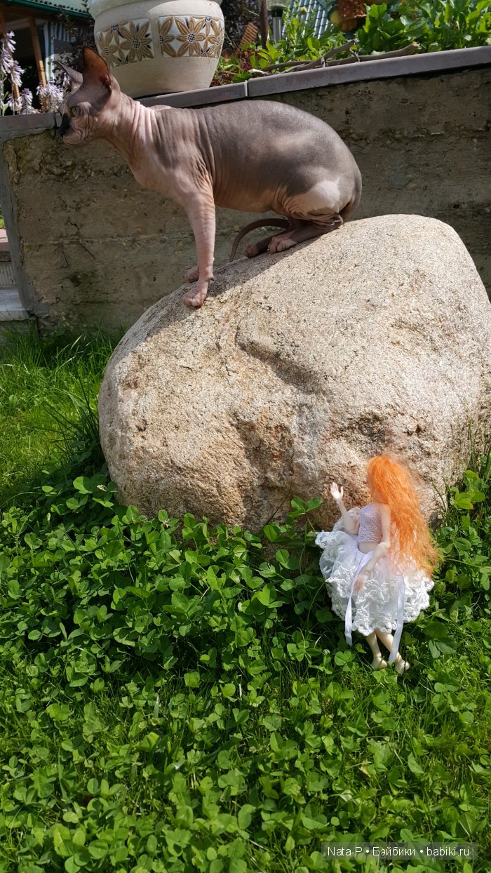 Катрина и волшебный лес-2