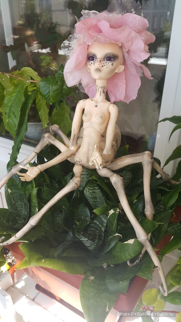 Катрина и волшебный лес-2 (фото 5)