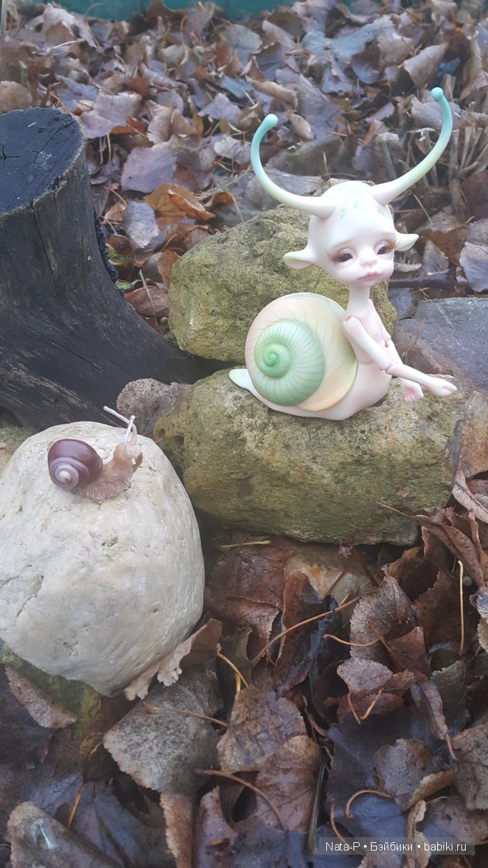 Улитки в тумане — Куклы Doll Chateau (Доллшато): BJD (БЖД)