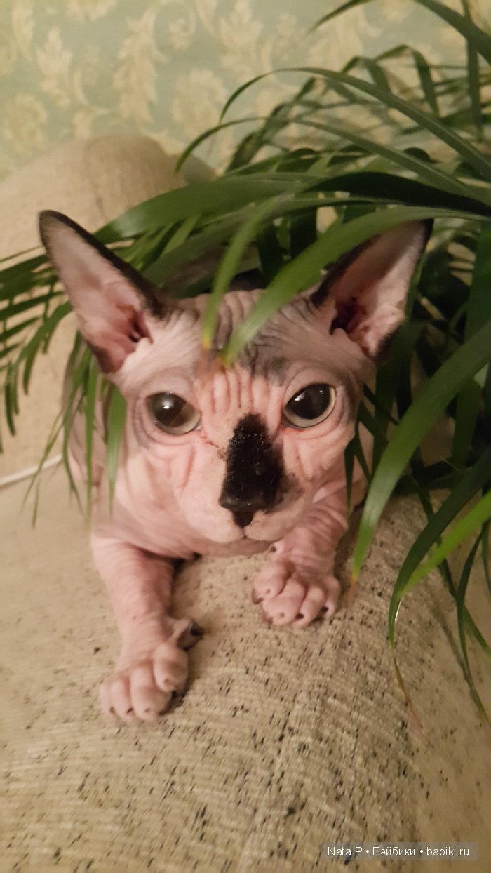 Что такое настоящая любовь (фото 8)