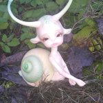 Улитки в тумане