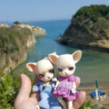 Новое путешествие Панг-Панга