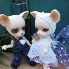 Большая свадьба Панг-Панга и Джулии