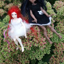 Шоколадка и Беляночка