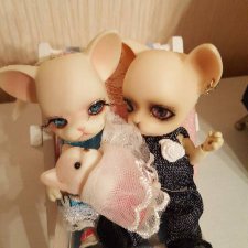 Куда пропали Панги