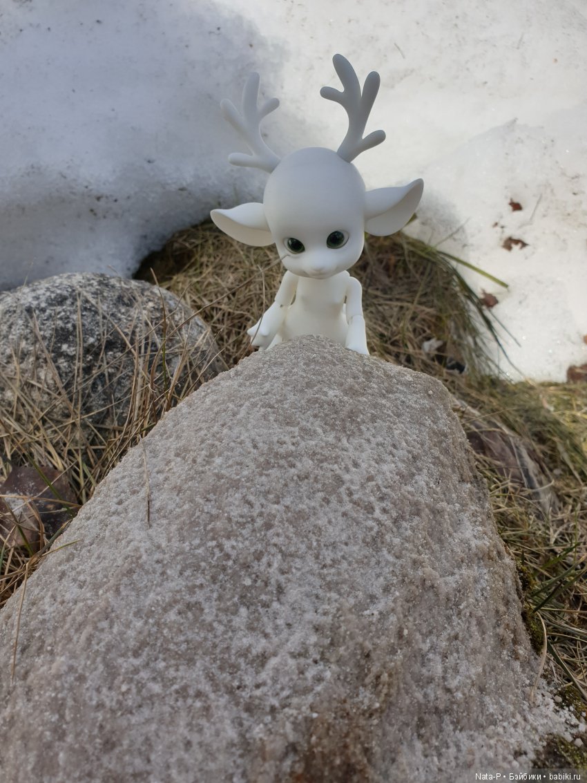 Весенний букет — Куклы Dollzone (Доллзон): BJD (БЖД) (фото 4)