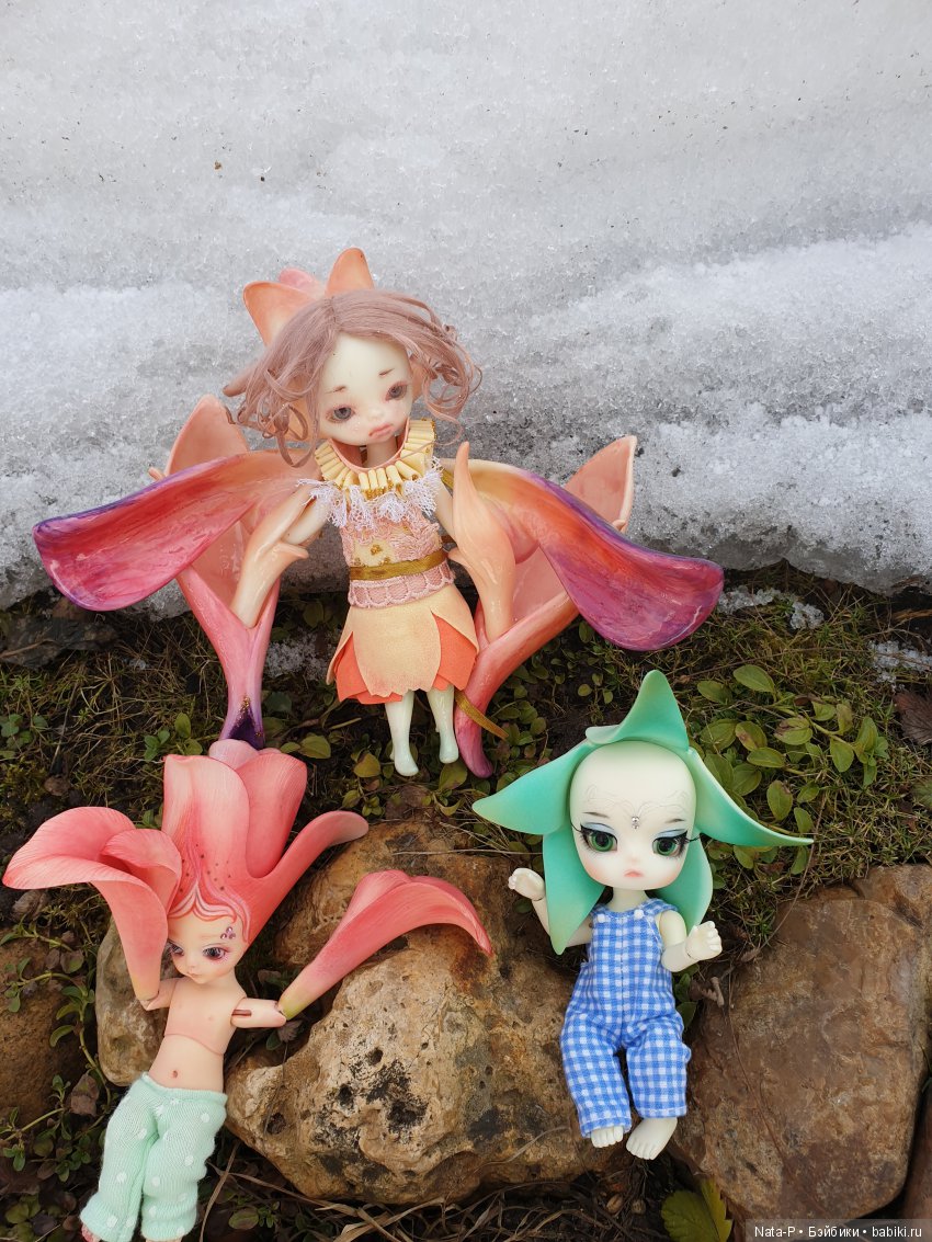 Весенний букет — Куклы Dollzone (Доллзон): BJD (БЖД) (фото 3)