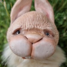 Кому зайса?