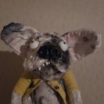 Продам автороского бульдога