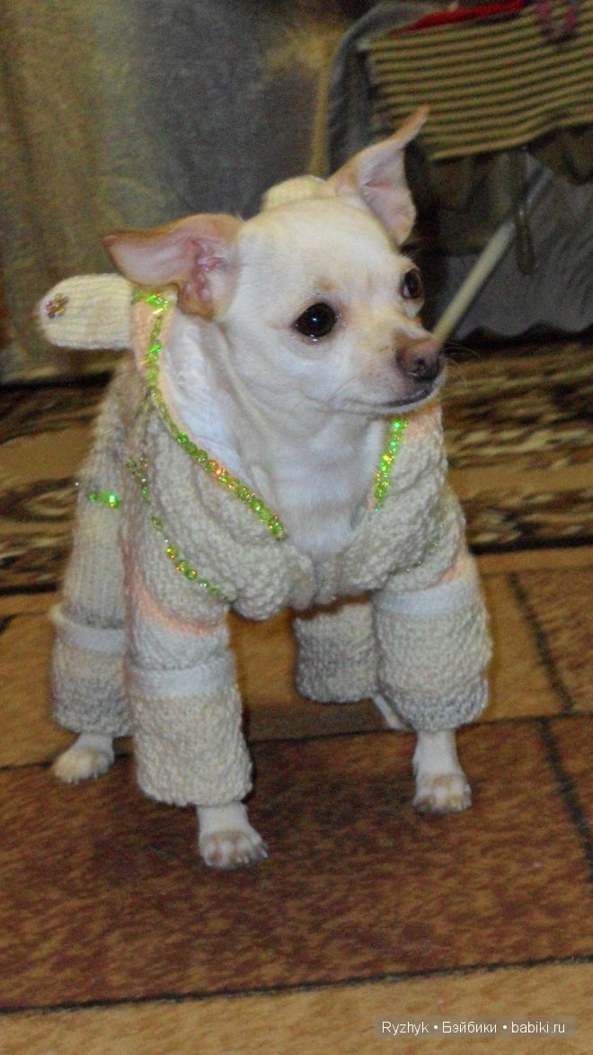 Новый костюмчик для моих крошек | Бэйбики Новый костюмчик для моих крошек