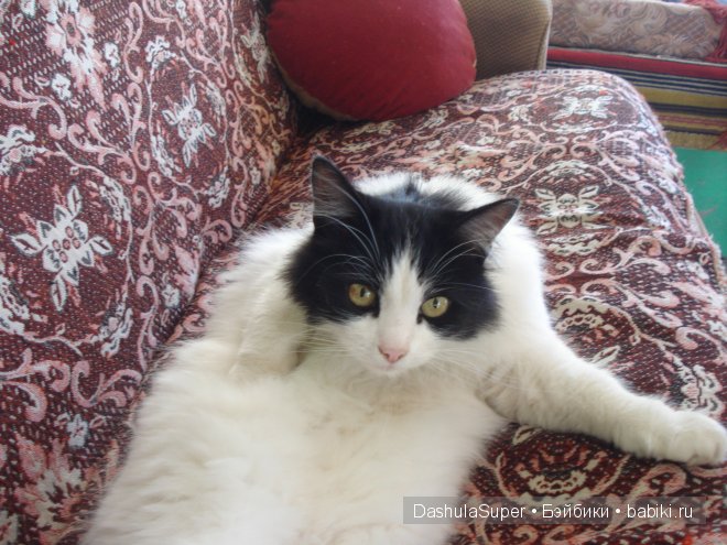 Бабушкина деревня — Куклы Bratz (Братц) и Moxie Girlz: MGA