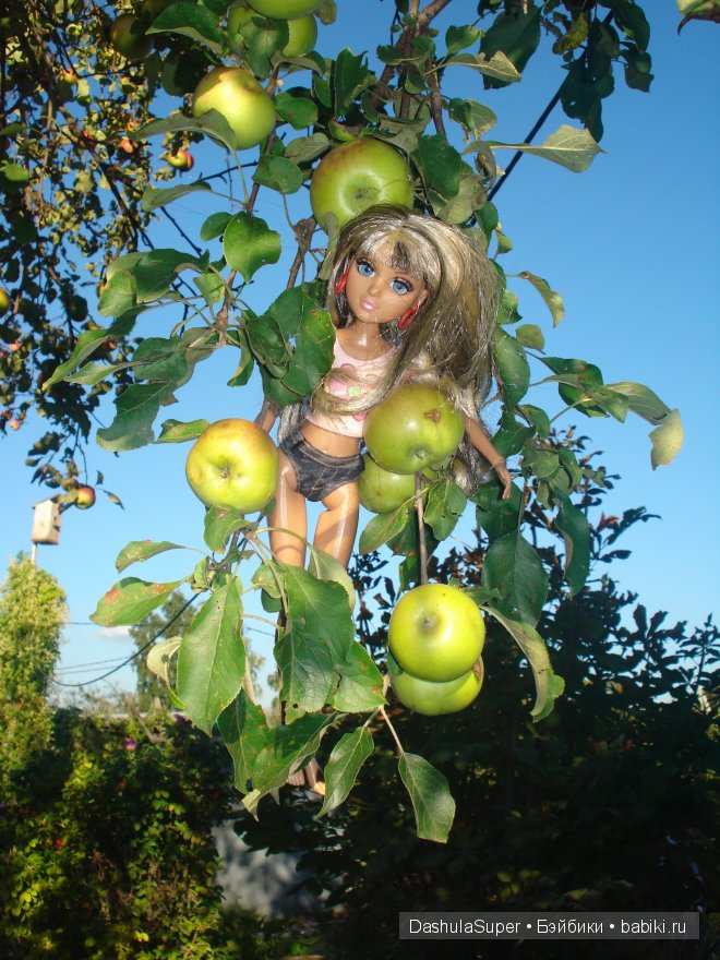 Бабушкина деревня — Куклы Bratz (Братц) и Moxie Girlz: MGA