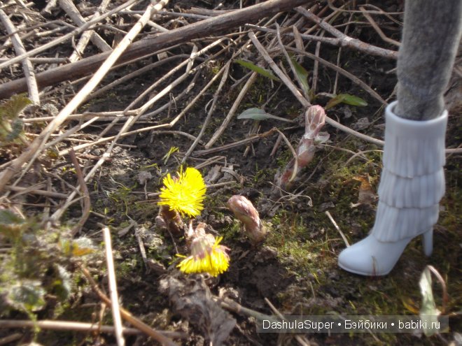 Весенний наряд для Элоди — Куклы Bratz (Братц) и Moxie Girlz: MGA