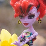 Мои милые Монстр Хай вышли на прогулку Monster High