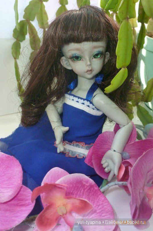 Аврора! Soom Grit Человековерсия