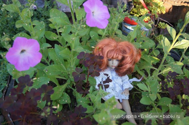 К нам приехала Эллин от Иплхаус и конечно остальные мои Няшки пошли погулять с ней | Бэйбики К нам приехала Эллин от Иплхаус и конечно остальные мои Няшки пошли погулять с ней