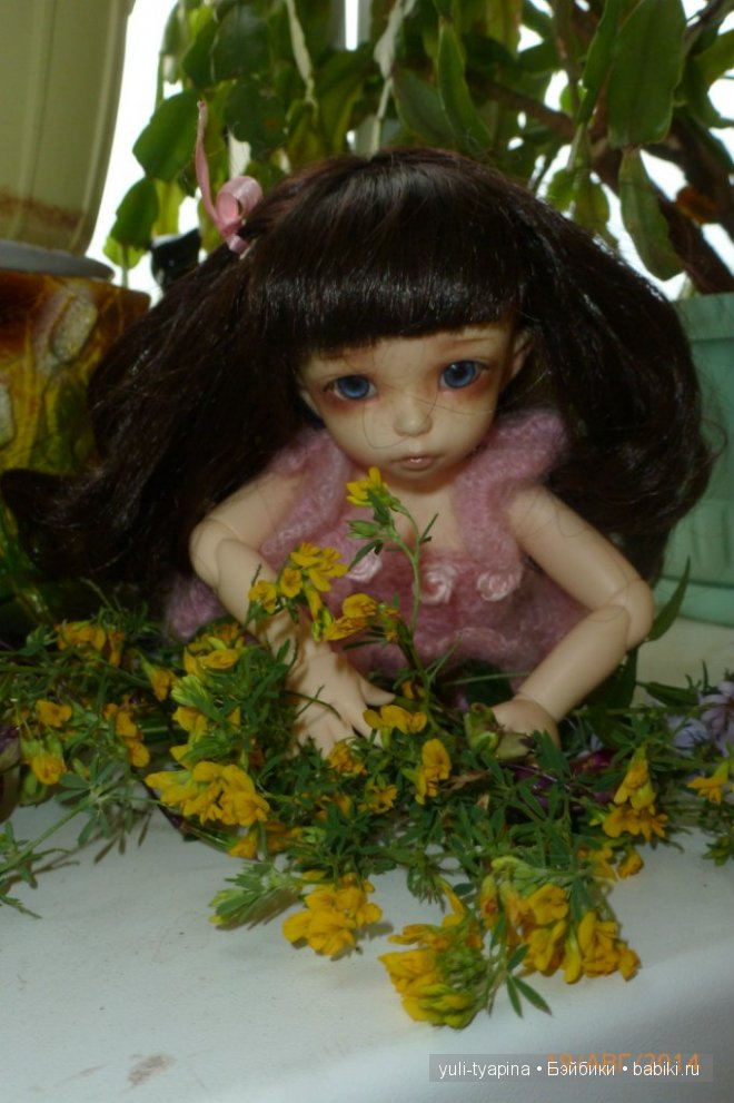 Один день из кукольной жизни Little fee Ante Василисы)