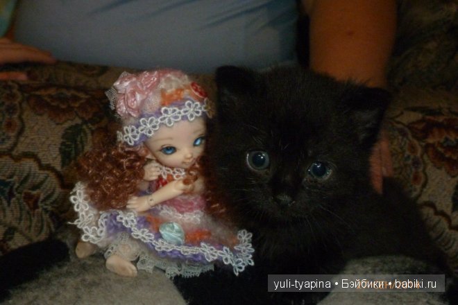 Наверное теперь она и будет вот такая , моя Pukifee Cupid (фото 5)