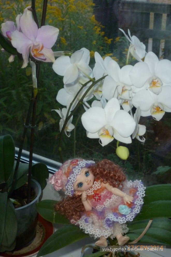 Наверное теперь она и будет вот такая , моя Pukifee Cupid