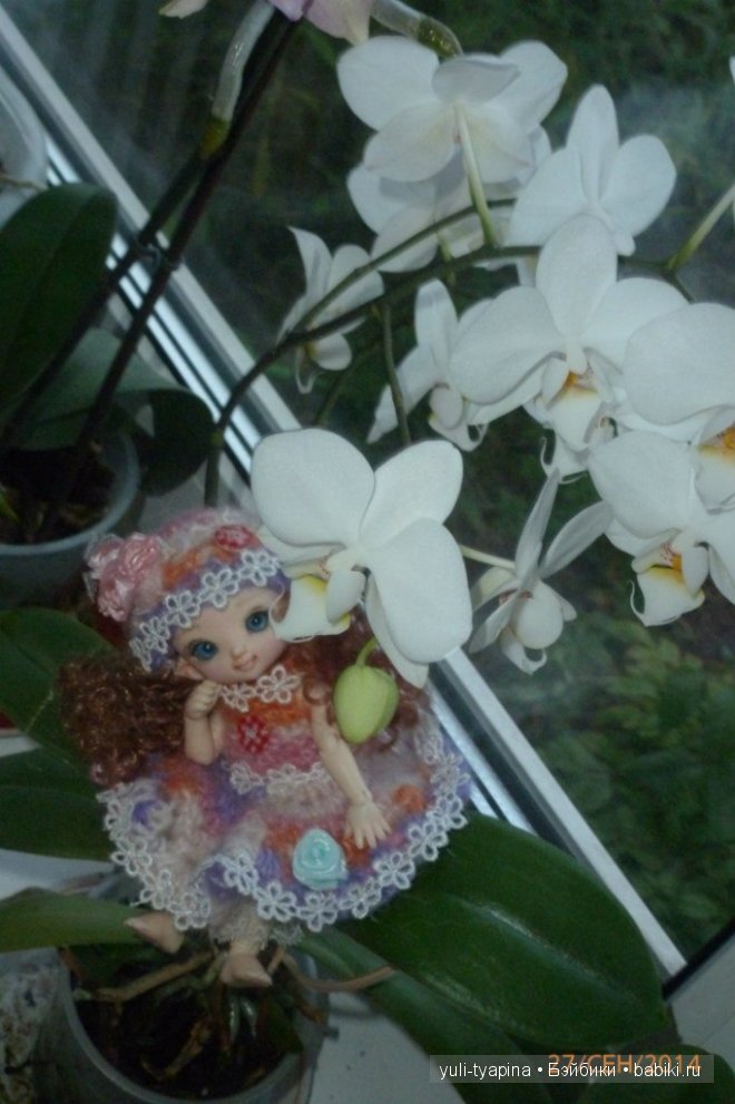 Наверное теперь она и будет вот такая , моя Pukifee Cupid