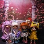 Обожаю своих кукол . Или новенькие PukiFee Love Фейриленд и Luts Tiny Delf Alice