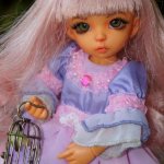 Ксюшка ) Литтлфи Анте