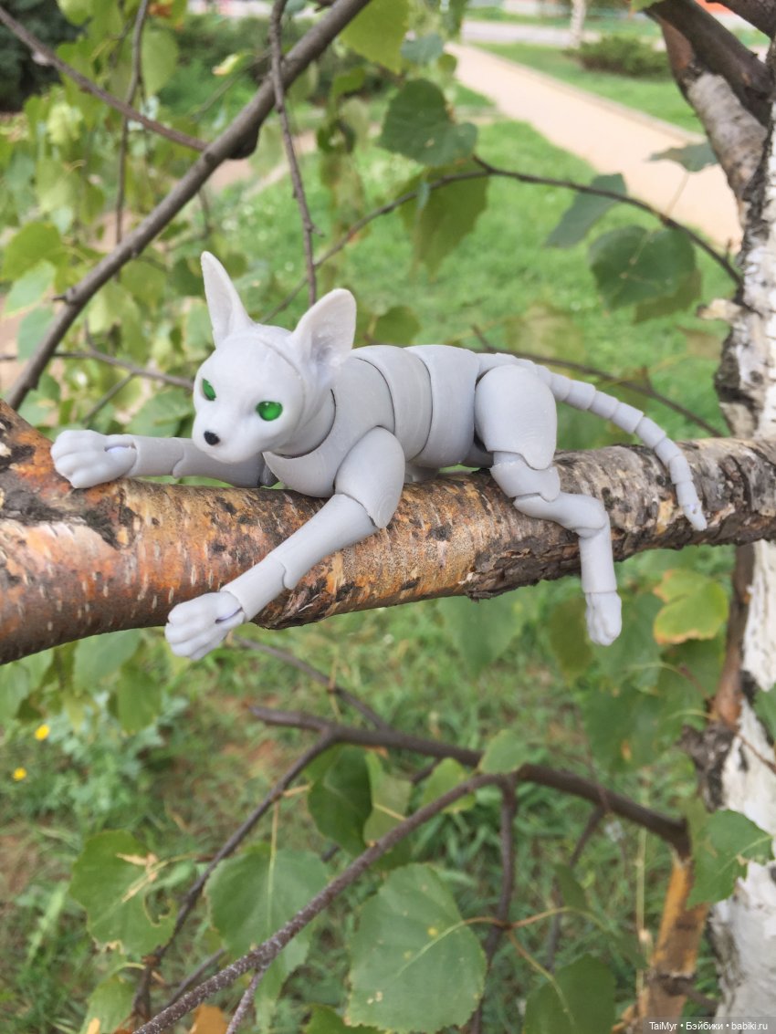 Розочка и Шрек — Куклы Dollshe Craft (Доллше): BJD (БЖД)