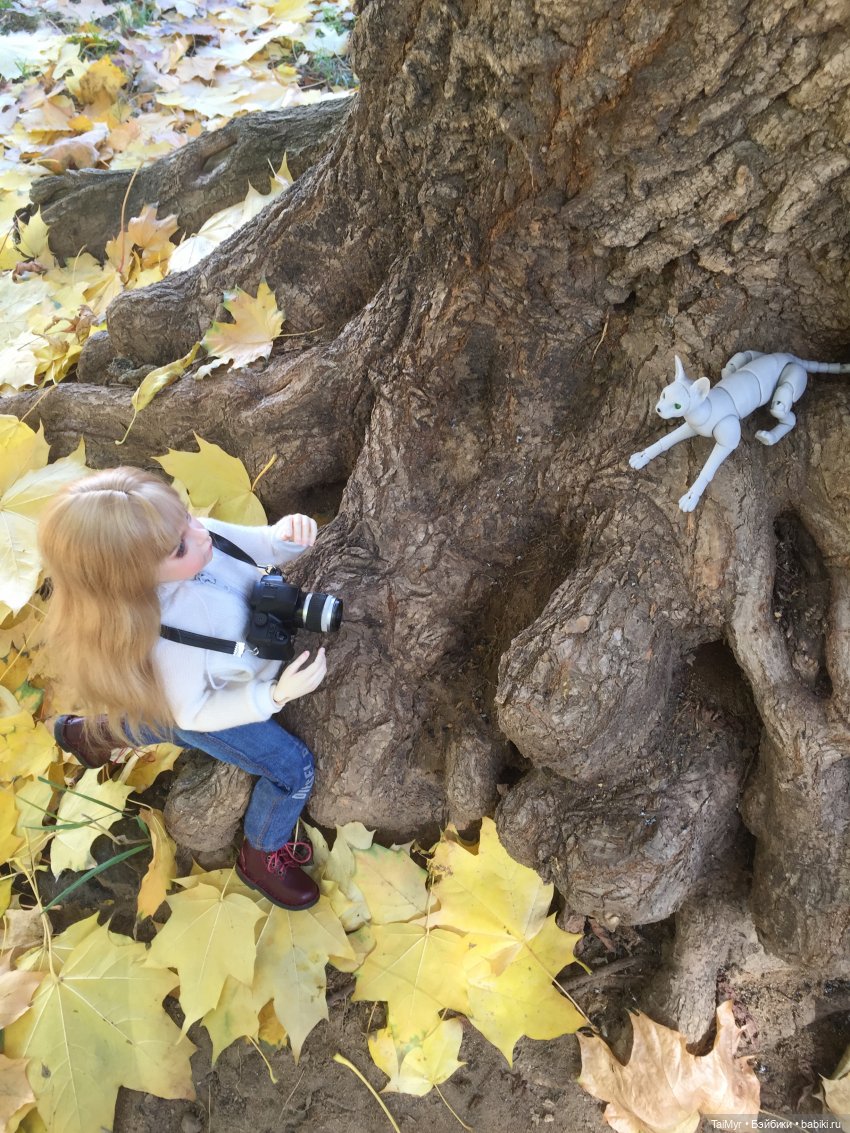 Розочка и Шрек — Куклы Dollshe Craft (Доллше): BJD (БЖД) (фото 10)