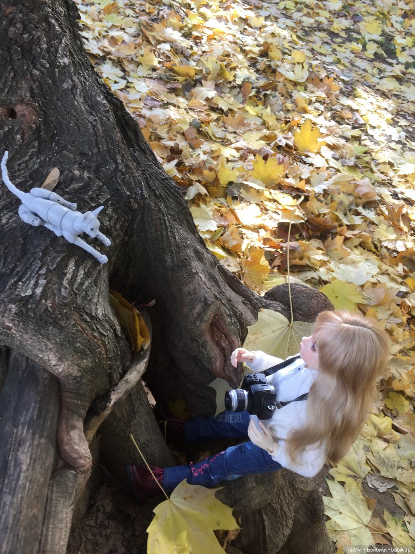 Розочка и Шрек — Куклы Dollshe Craft (Доллше): BJD (БЖД) (фото 8)